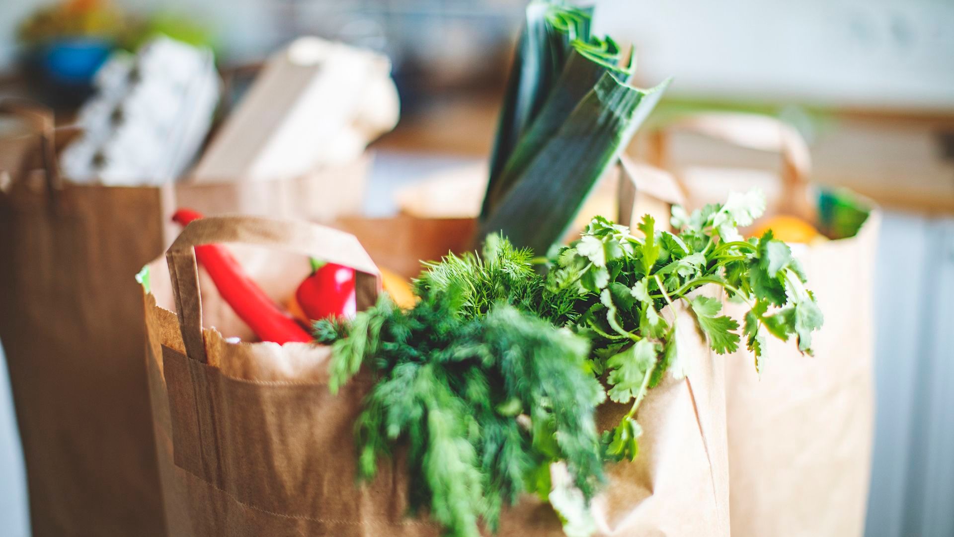 Why diet makes a difference when you have MS
