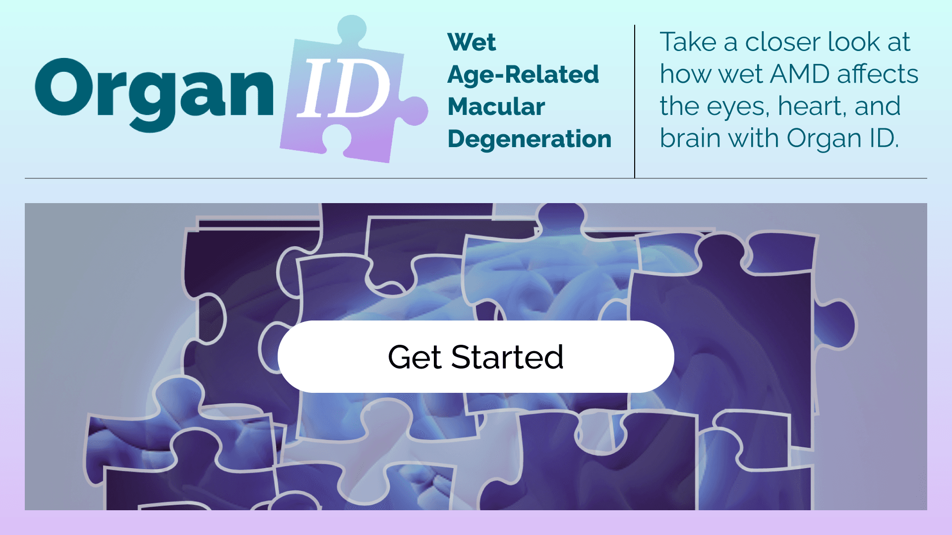 Organ ID: Wet AMD
