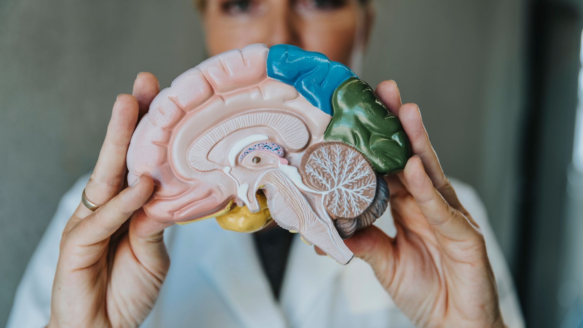 Vasomotor symptoms (VMS): understanding your hypothalamus