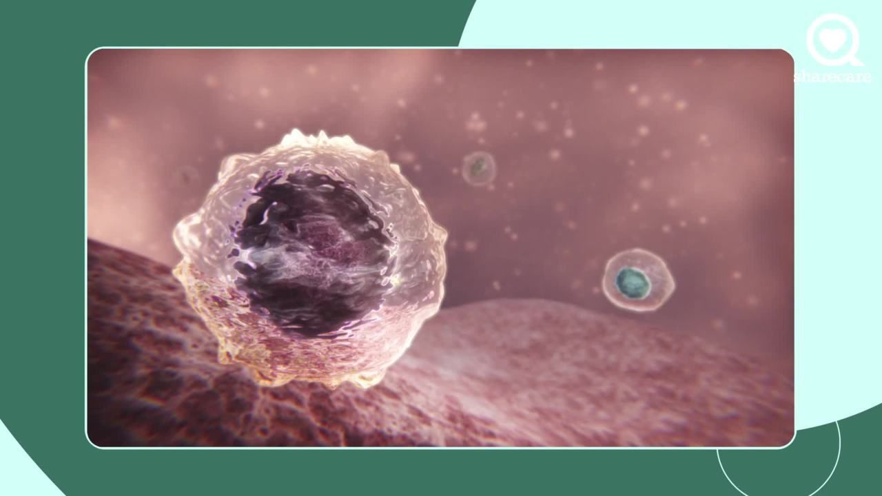 How is the immune system involved with atopic dermatitis?