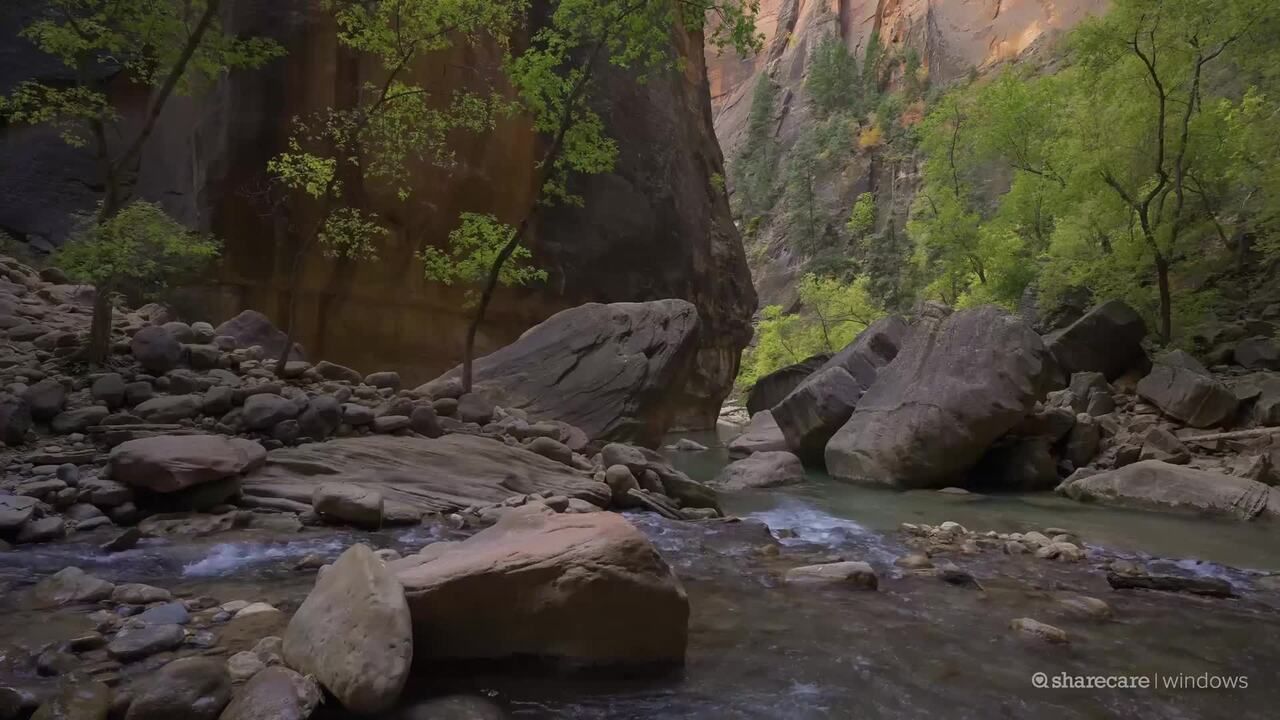 10-minute meditation for allergic asthma