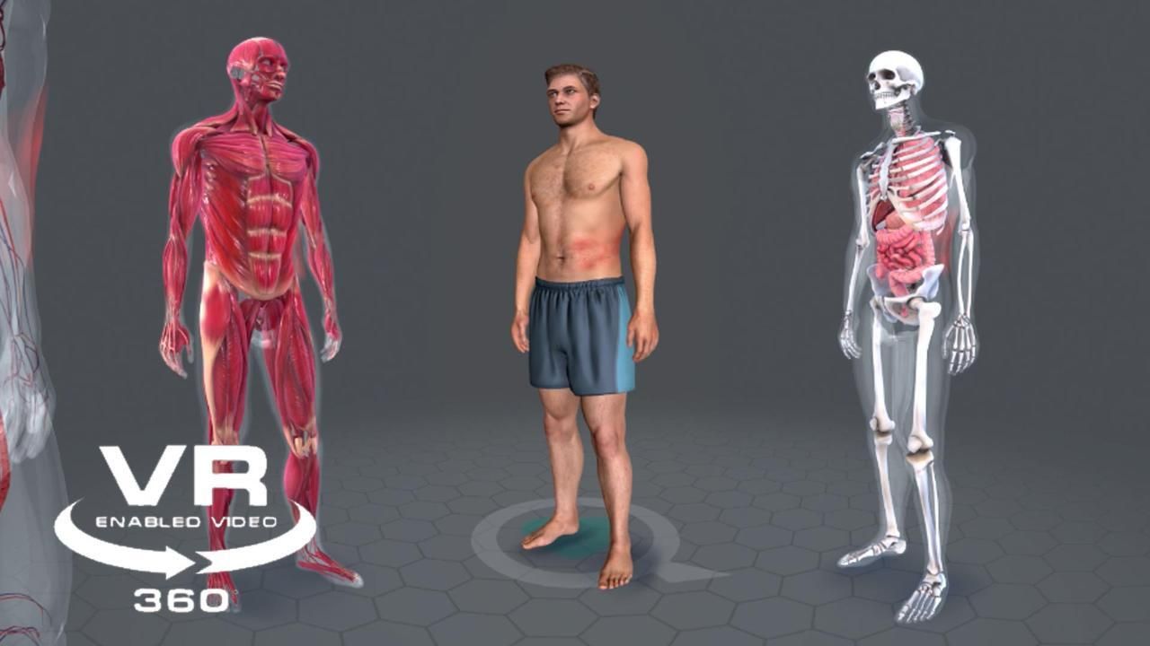 Shingles: up close and personal 360-degree virtual reality video