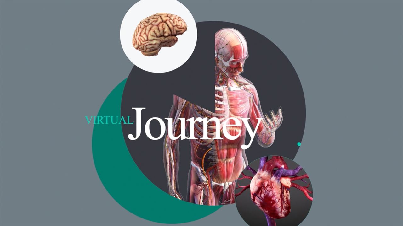 A different way of looking at esophageal cancer