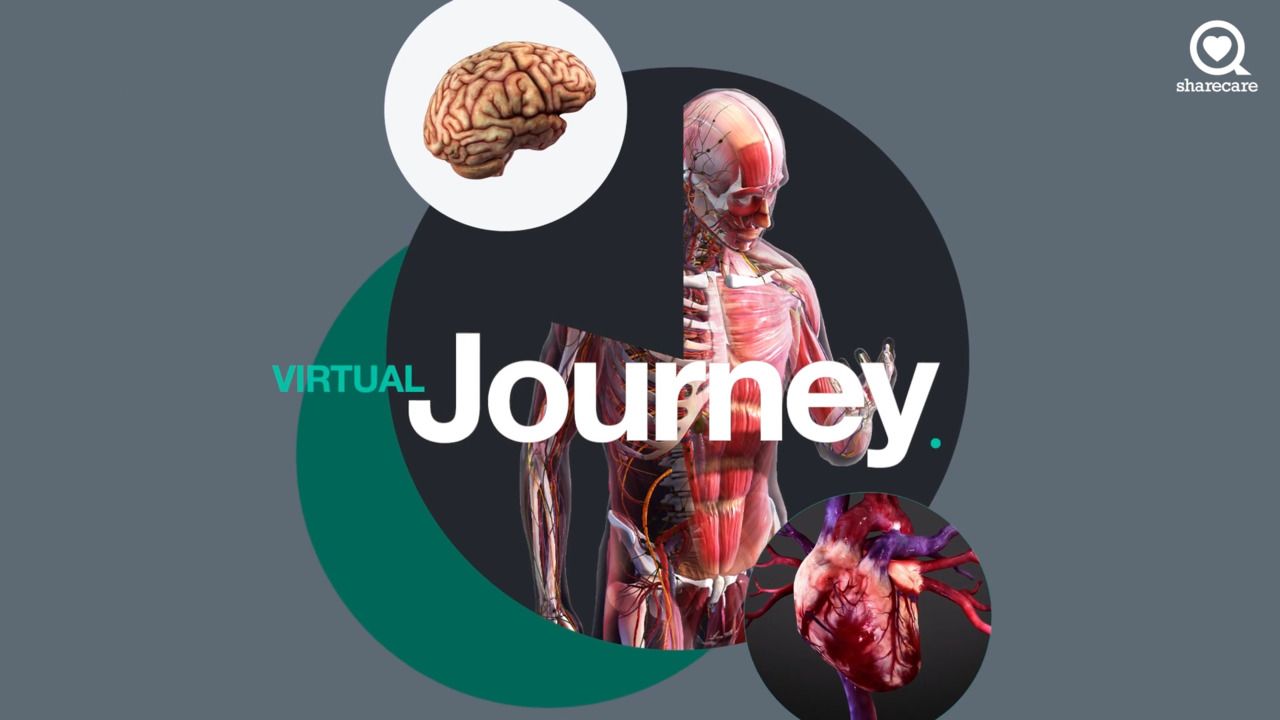 Virtual journey: ATTR amyloidosis