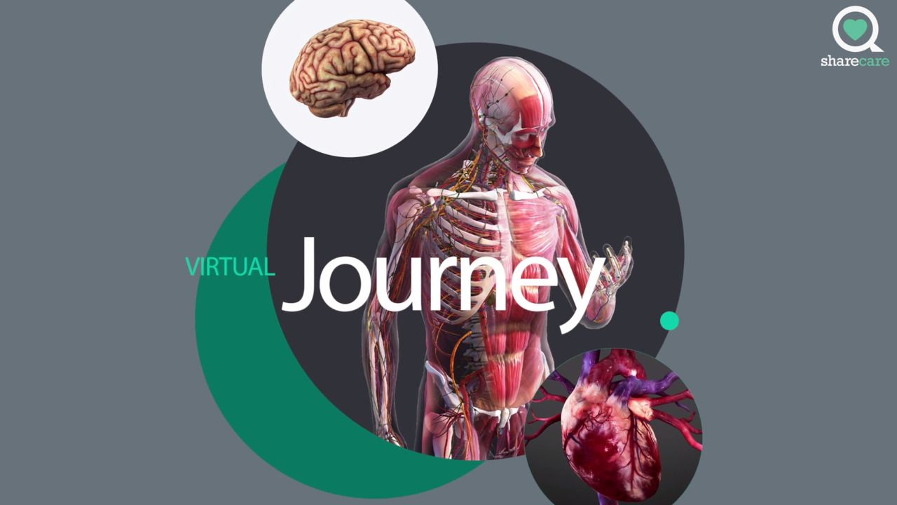 A virtual look at kidney cancer