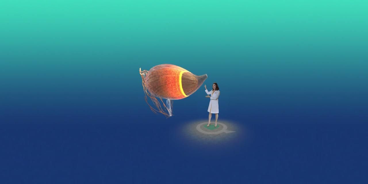 What's really happening in the bladder when you have OAB